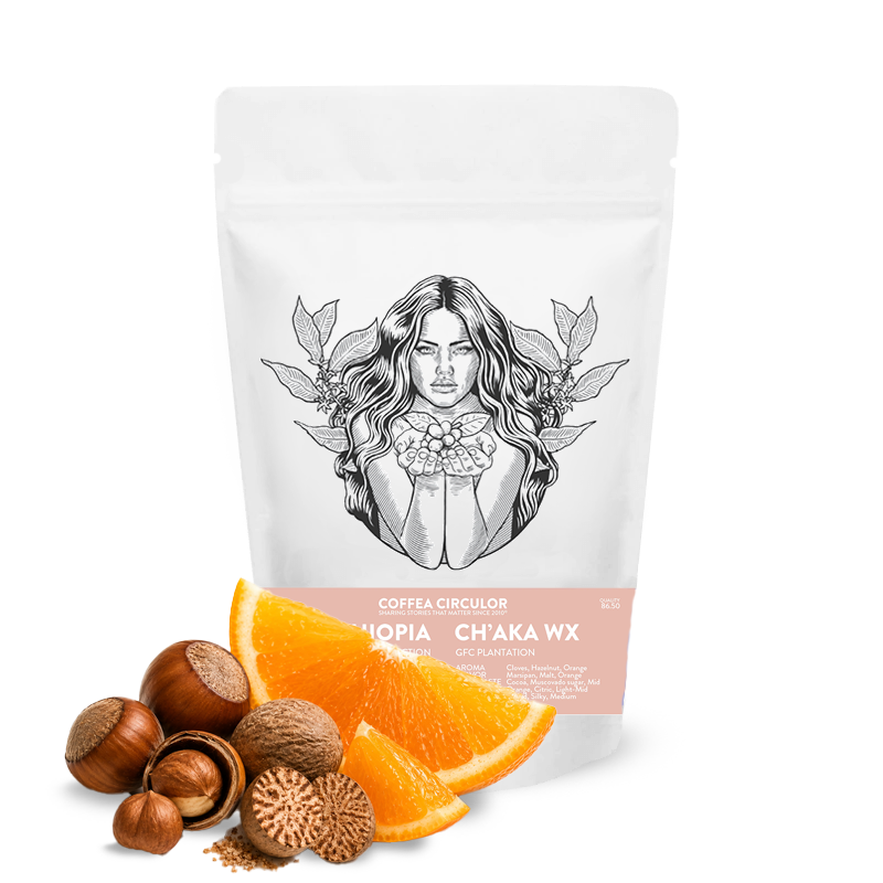 Specialty coffee Coffea Circulor Ethiopia CH`AKA WX