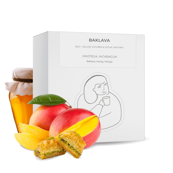Specialty coffee DAK Coffee Roasters Nicaragua BAKLAVA