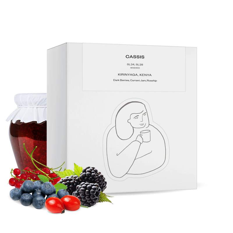 Specialty coffee DAK Coffee Roasters Kenya CASSIS