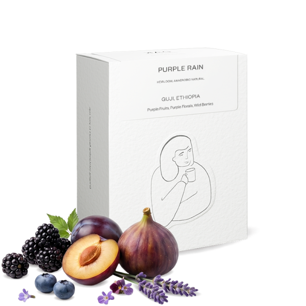 Specialty coffee DAK Coffee Roasters Ethiopia PURPLE RAIN