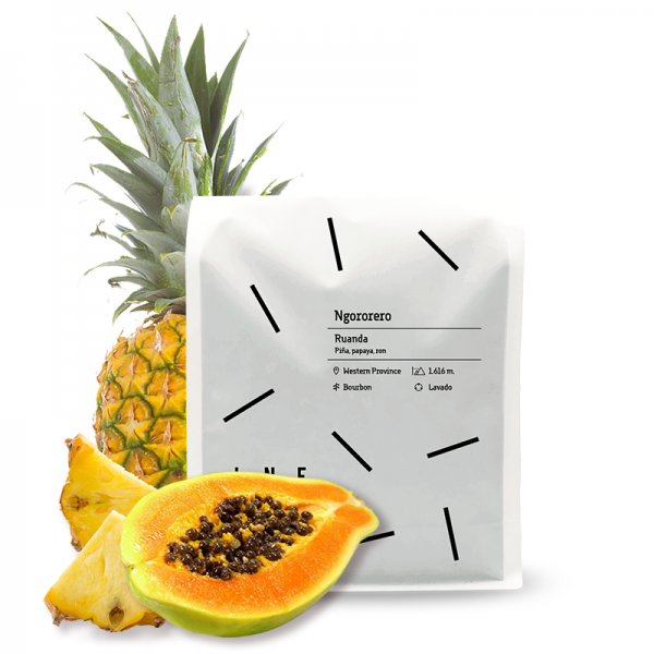 Specialty coffee Ineffable  Rwanda Ngororero