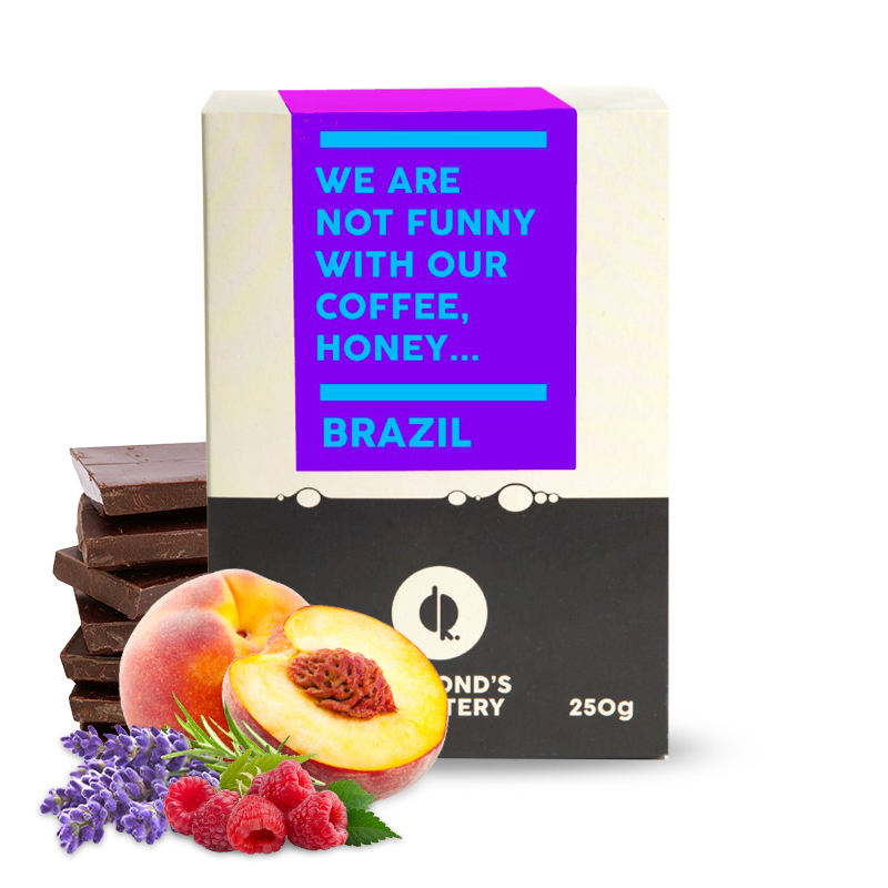 Specialty coffee Diamond's Roastery Brazil GUARIROBA BLACK HONEY