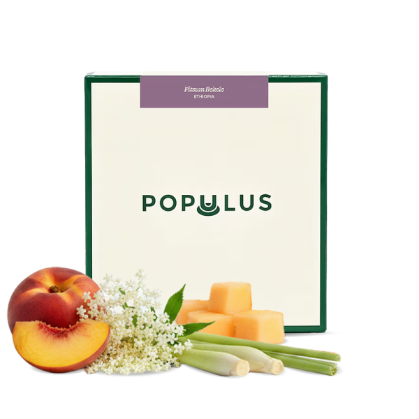 Specialty coffee Populus Coffee Ethiopia FITSUM BEKELE