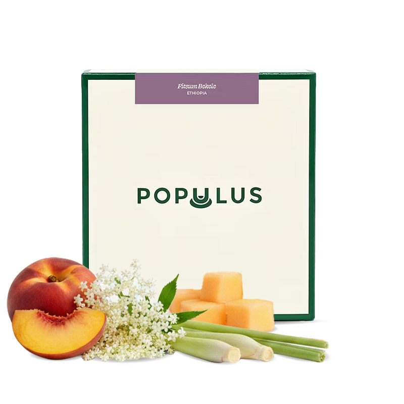 Specialty coffee Populus Coffee Ethiopia FITSUM BEKELE