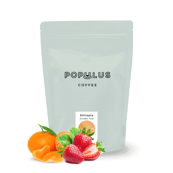 Specialty coffee Populus Coffee Ethiopia Zinabu Tula