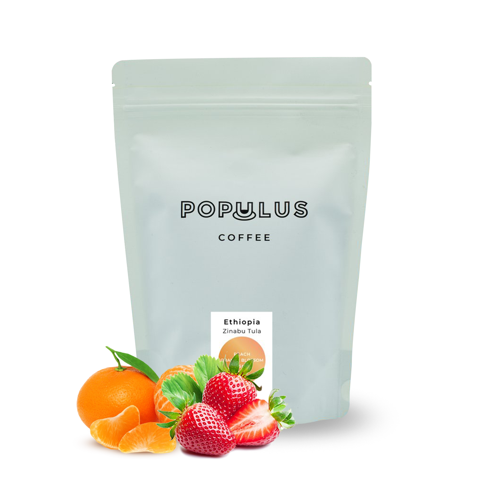 Specialty coffee Populus Coffee Ethiopia Zinabu Tula