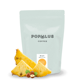 Brazil Bob-o-Link - Populus coffee