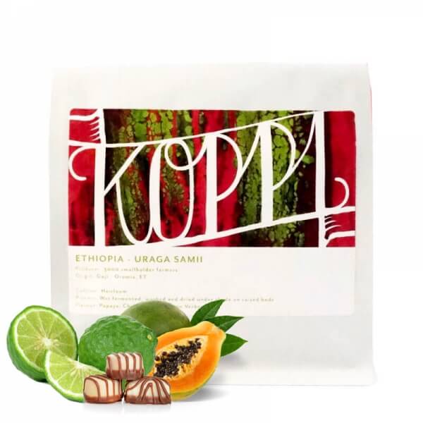 Specialty coffee Koppi Ethiopia URAGA SAMI 2019
