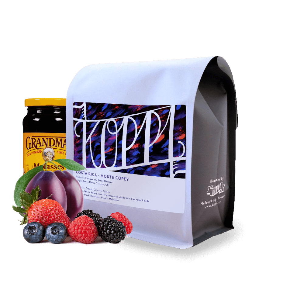 Specialty coffee Koppi Costa Rica MONTE COPEY yellow honey