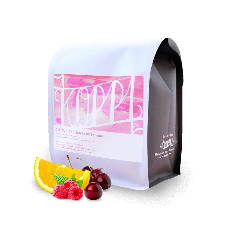 Specialty coffee Koppi Costa Rica SANTA ROSA 1900