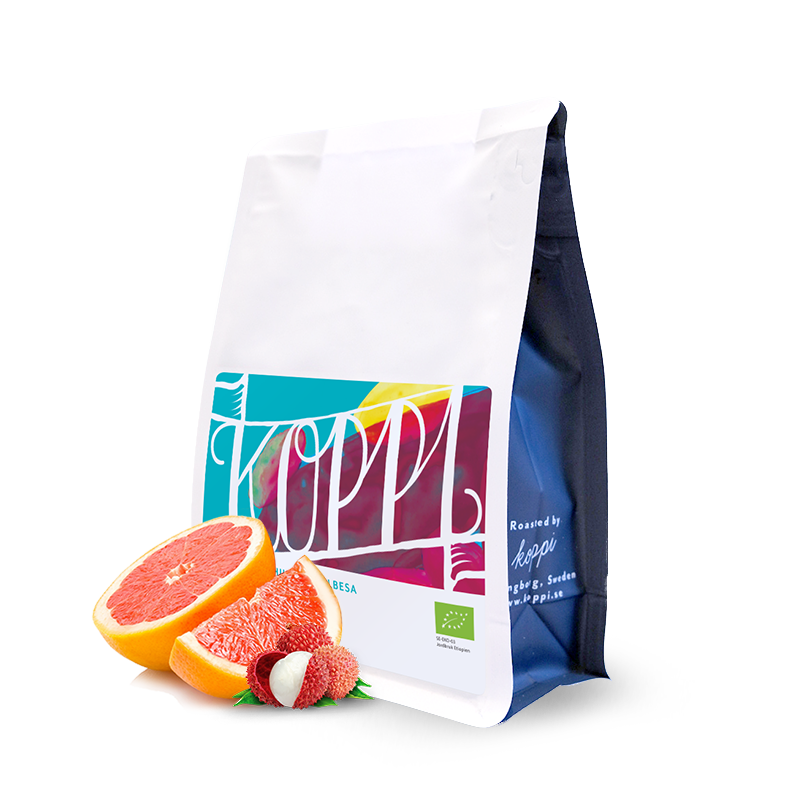 Specialty coffee Koppi Ethiopia DHILGEE CHELBESA