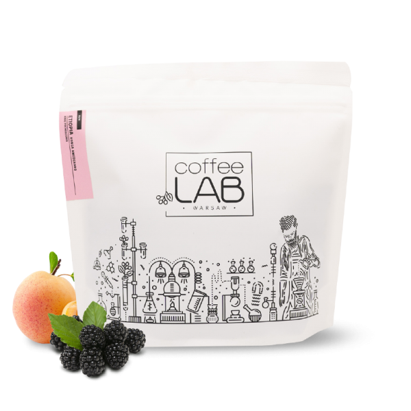 Specialty coffee Coffeelab Ethiopia CONGA AMEDERARO