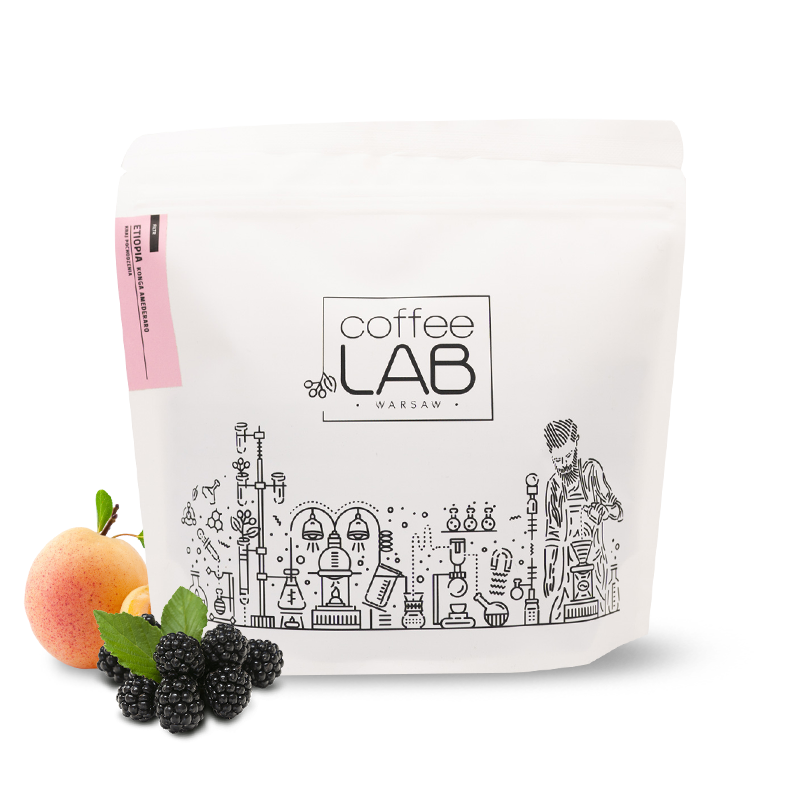 Specialty coffee Coffeelab Ethiopia CONGA AMEDERARO