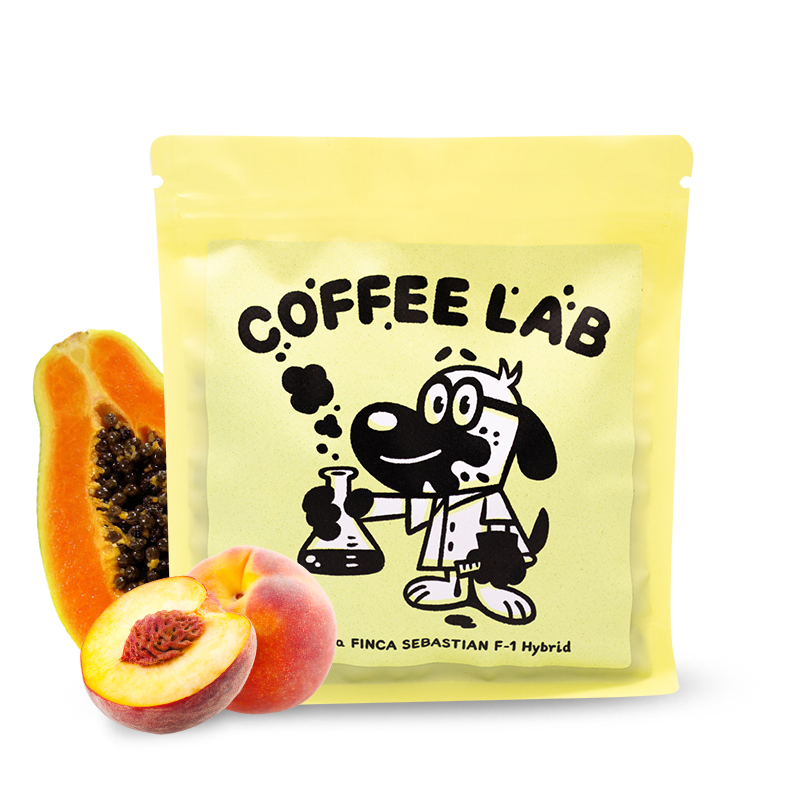 Specialty coffee Coffeelab Costa Rica FINCA SEBASTIAN - F-1 hybrid