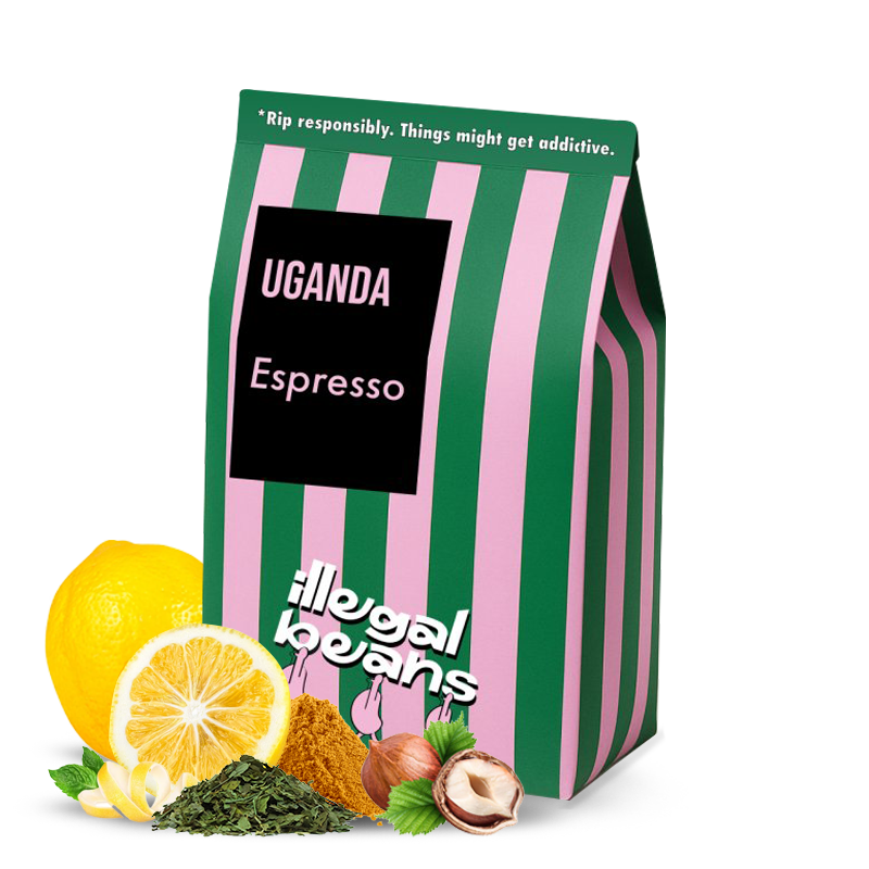 Specialty coffee Illegal Beans Uganda KUOSHA CRISP - espresso