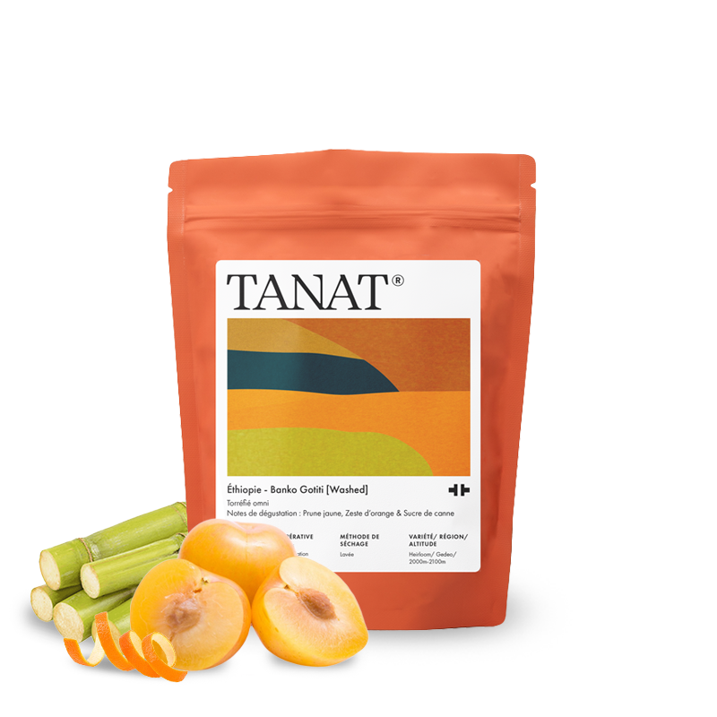 Specialty coffee Tanat Coffee Ethiopia BANKO GOTITI