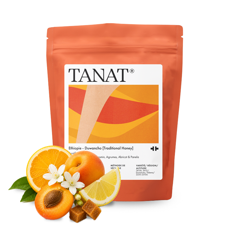 Specialty coffee Tanat Coffee Ethiopia DUWANCHO