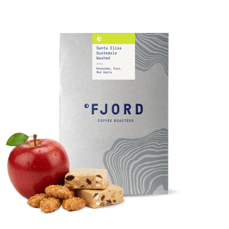Specialty coffee Fjord Coffee Roasters Guatemala SANTA ELISA