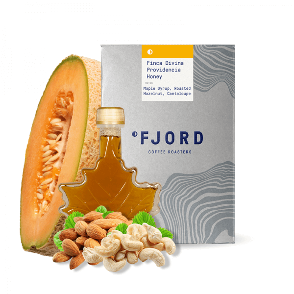 Specialty coffee Fjord Coffee Roasters El Salvador FINCA DIVINA PROVIDENCIA