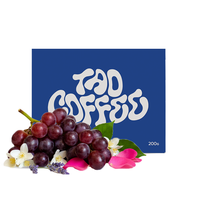 Specialty coffee Tao Coffee Colombia LAS HORTENZIAS