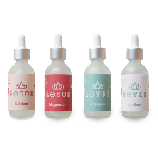 Lotus Water Kit - minerals for water treatment