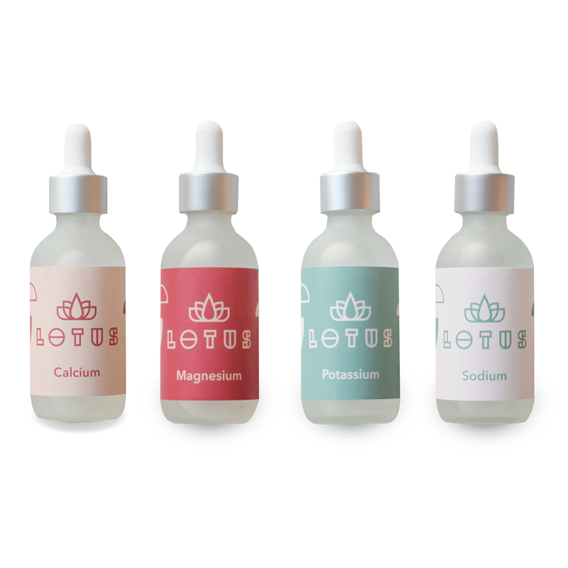Lotus Water Kit - minerals for water treatment