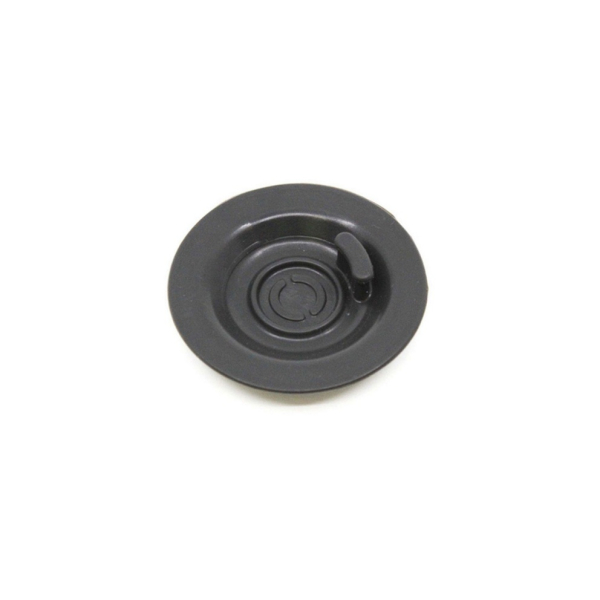 Sage Cleaning Disc - 53/54mm