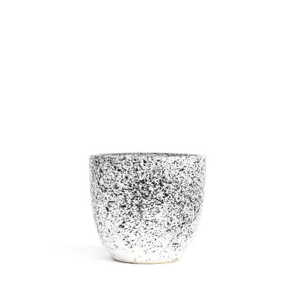 Aoomi Mess Mug #A04 - cup 80ml