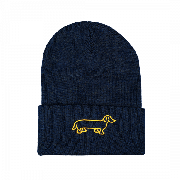 The Naughty Dog cap with brim - blue