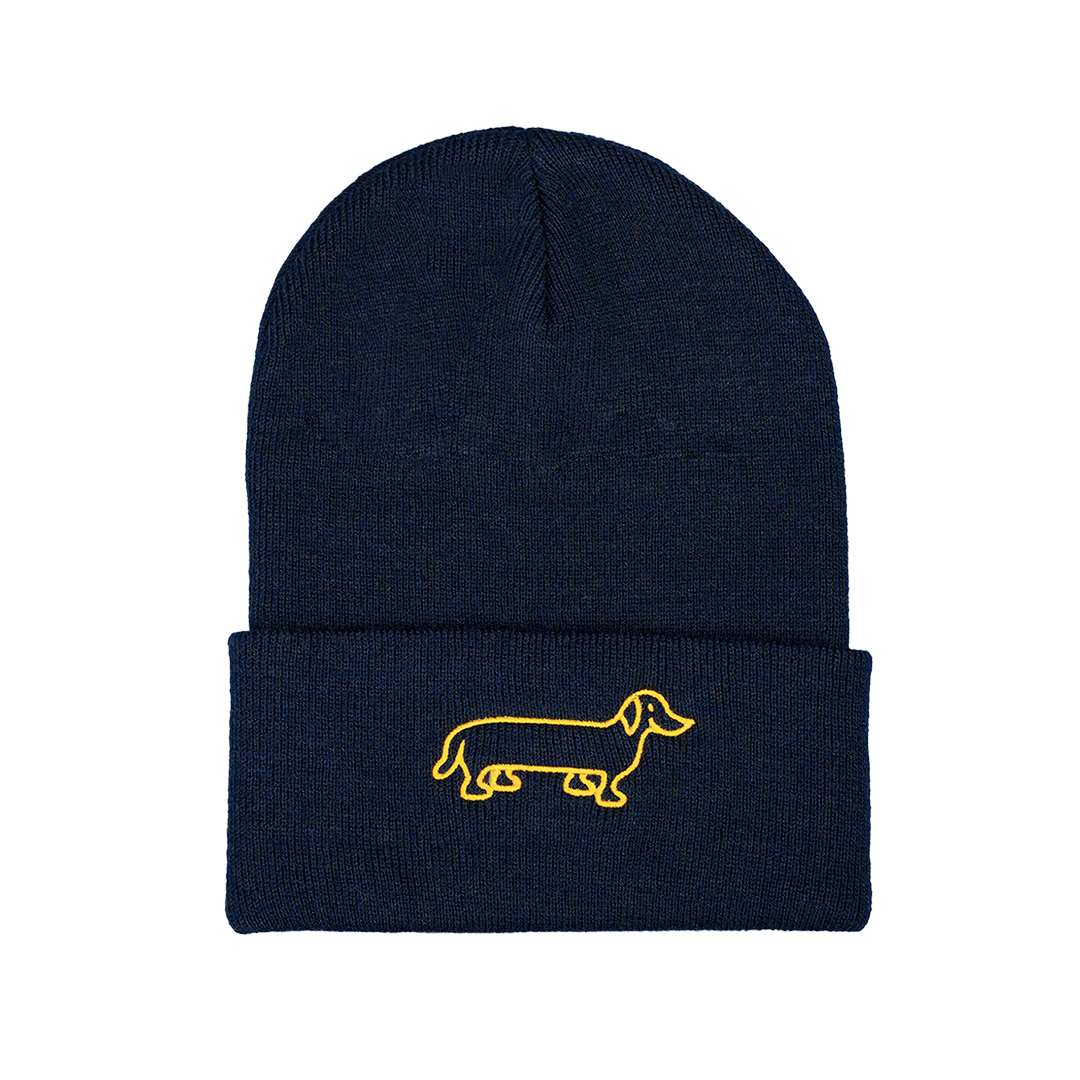 The Naughty Dog cap with brim - blue