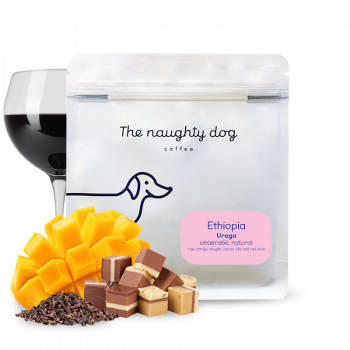 Ethiopia URAGA - The naughty dog