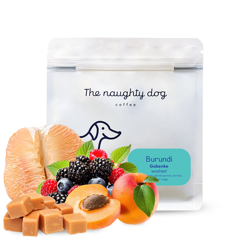 Specialty coffee The naughty dog Burundi GAKENKE