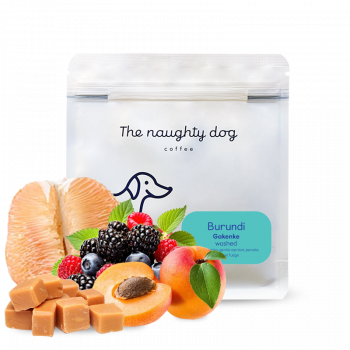Burundi GAKENKE - The naughty dog
