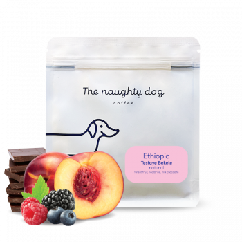 Ethiopia TESFAYE BEKELE - The naughty dog