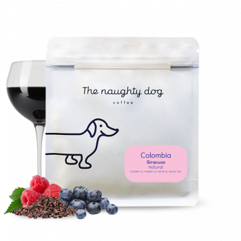 Colombia SIRACUSA - The naughty dog