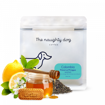 Colombia FINCA LA PIRAGUA - The naughty dog