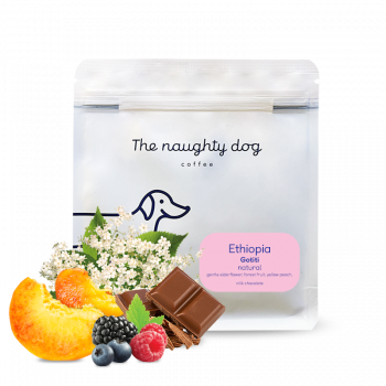 Ethiopia GOTITI - The naughty dog