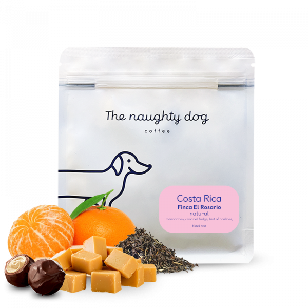 Specialty coffee The naughty dog Costa Rica FINCA EL ROSARIO