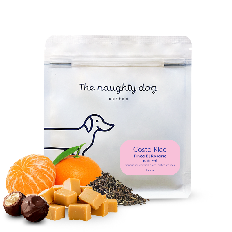 Specialty coffee The naughty dog Costa Rica FINCA EL ROSARIO