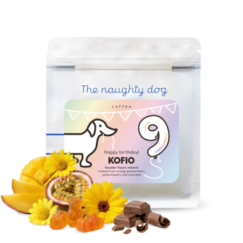 HAPPY BIRTHDAY KOFIO - Ecuador YACURI - The naughty dog