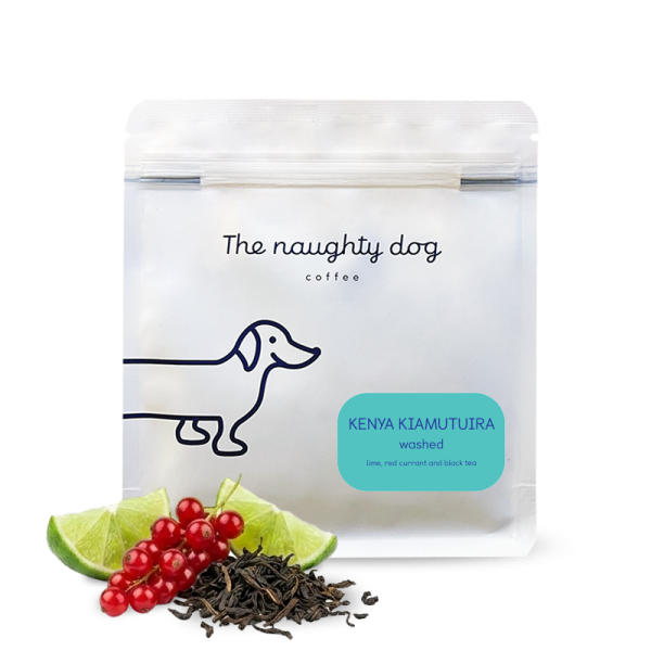 Specialty coffee The naughty dog Kenya KIAMUTUIRA