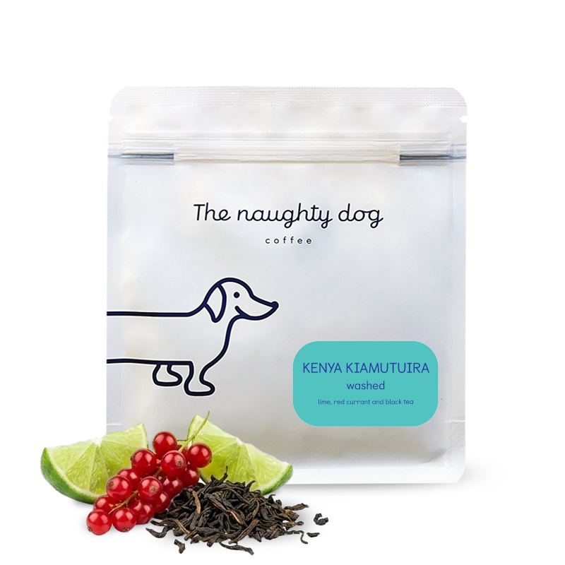 Specialty coffee The naughty dog Kenya KIAMUTUIRA