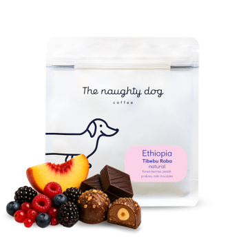 Ethiopia TIBEBU ROBA - The naughty dog