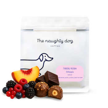 Ethiopia TIBEBU ROBA - The naughty dog