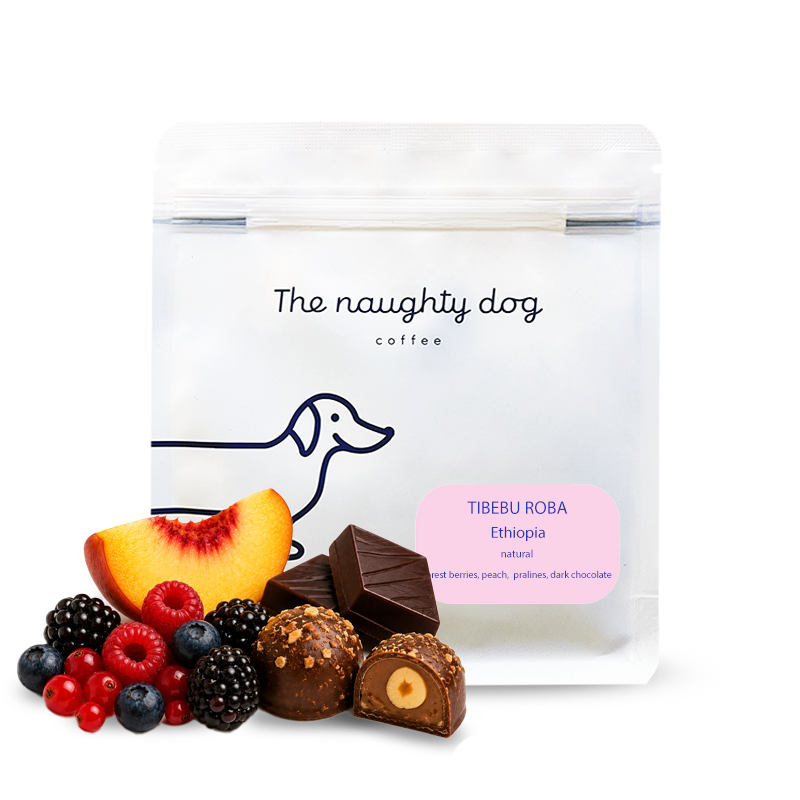 Specialty coffee The naughty dog Ethiopia TIBEBU ROBA