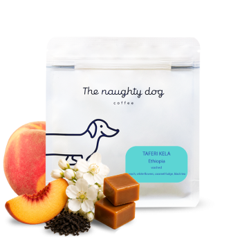 Ethiopia TAFERI KELA - The naughty dog