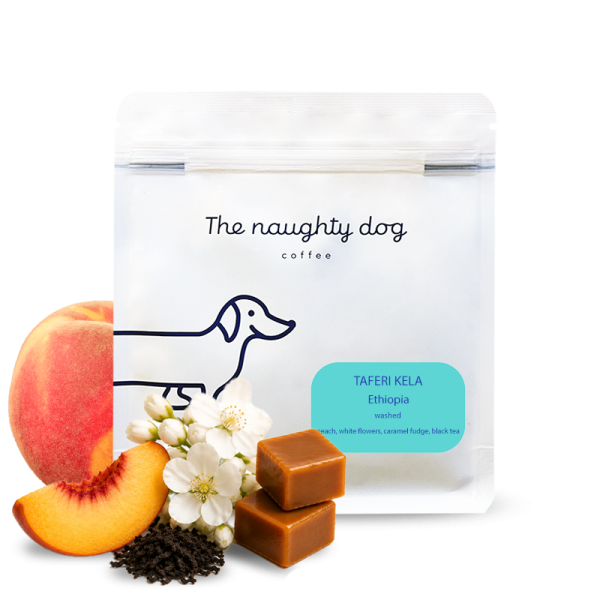 Specialty coffee The naughty dog Ethiopia TAFERI KELA