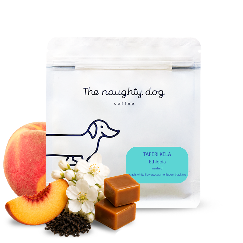Specialty coffee The naughty dog Ethiopia TAFERI KELA