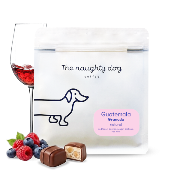 Specialty coffee The naughty dog Guatemala GRANADA