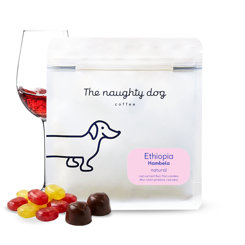 Specialty coffee The naughty dog Ethiopia HAMBELA
